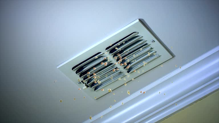 Best Emergency Air Duct Cleaning  in Parker, SC